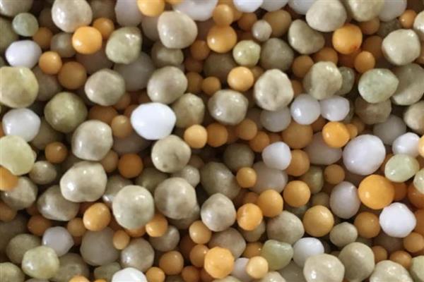 肥料探秘 有机肥与无机肥的全面解析